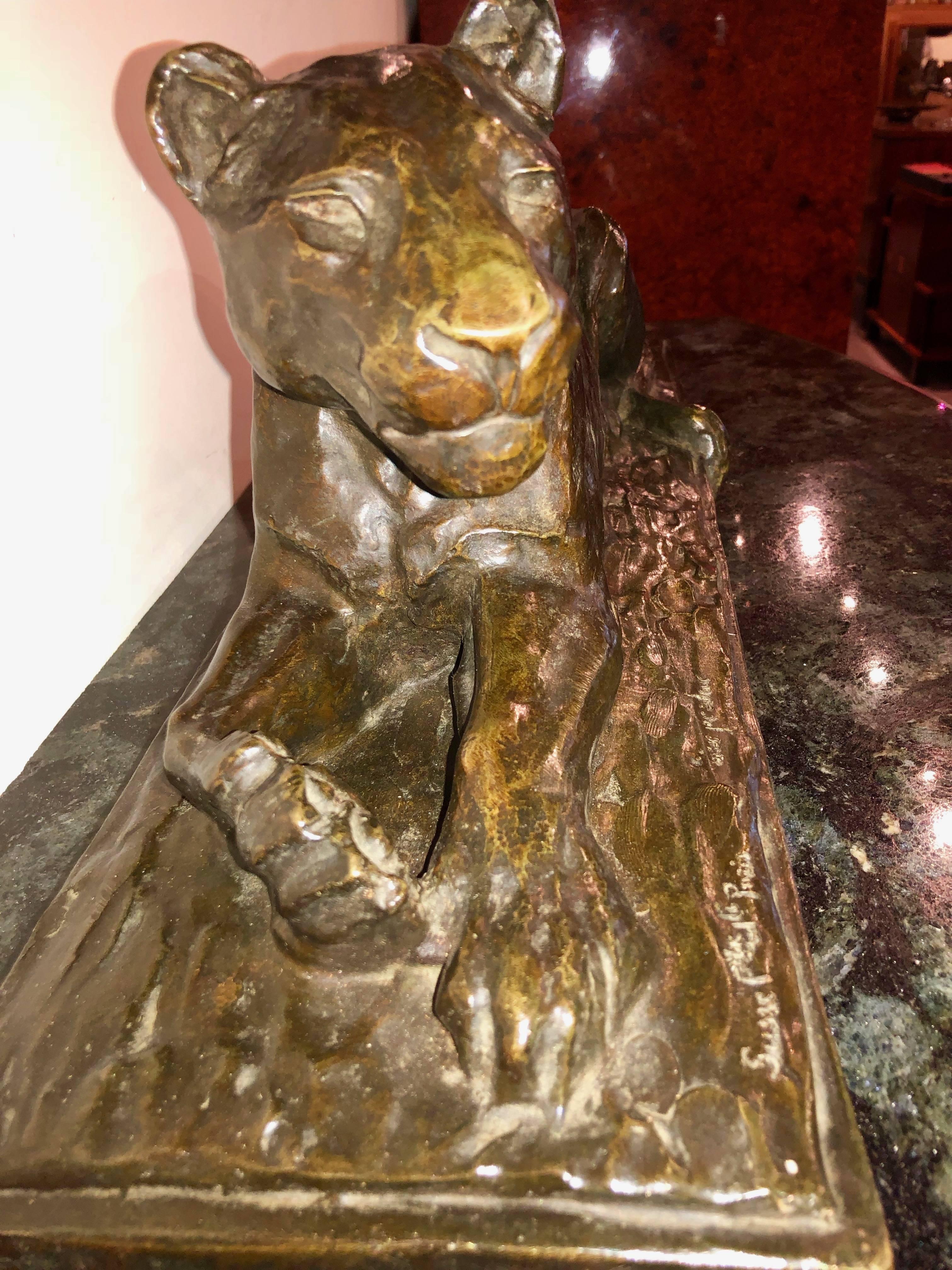 French Art Deco Lioness Large Bronze Sculpture by Maurice Prost 3
