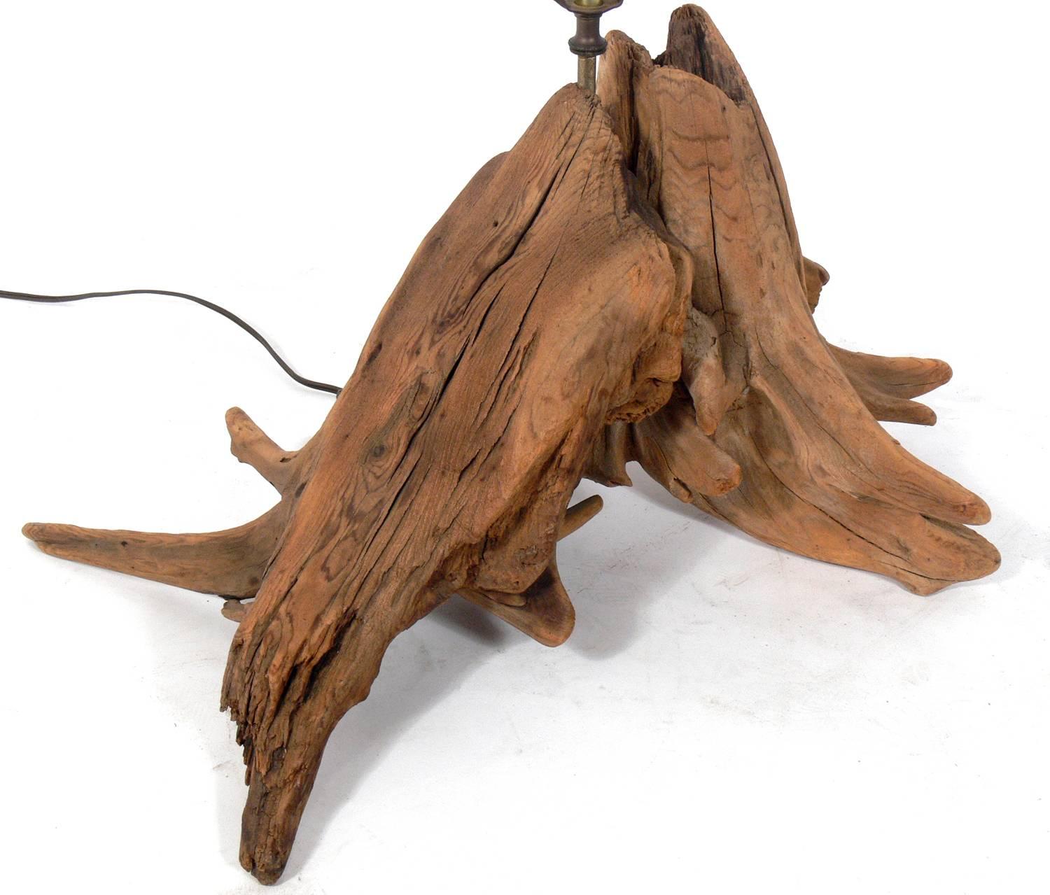 American Selection of Sculptural Driftwood Lamps