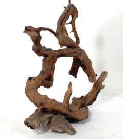 Selection of Sculptural Driftwood Lamps