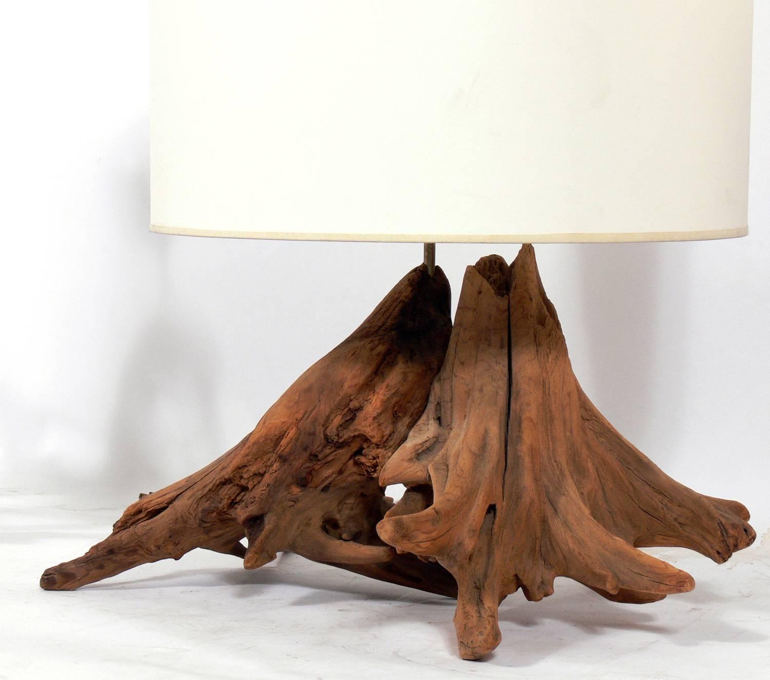 Mid-Century Modern Selection of Sculptural Driftwood Lamps