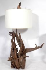 Selection of Sculptural Driftwood Lamps