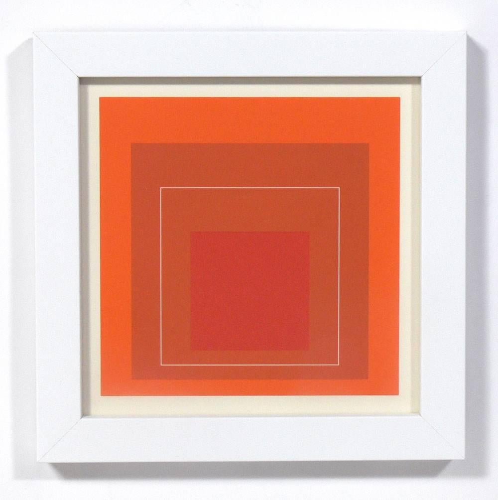 American Josef Albers 