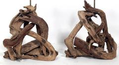 Pair of Sculptural Driftwood Lamps