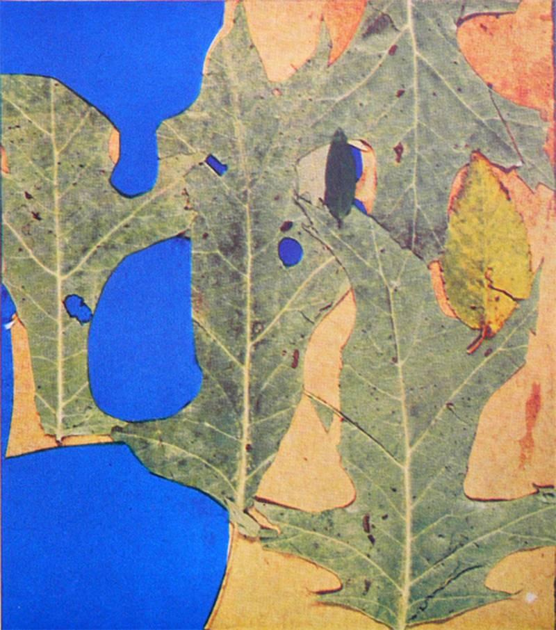 josef albers lithograph