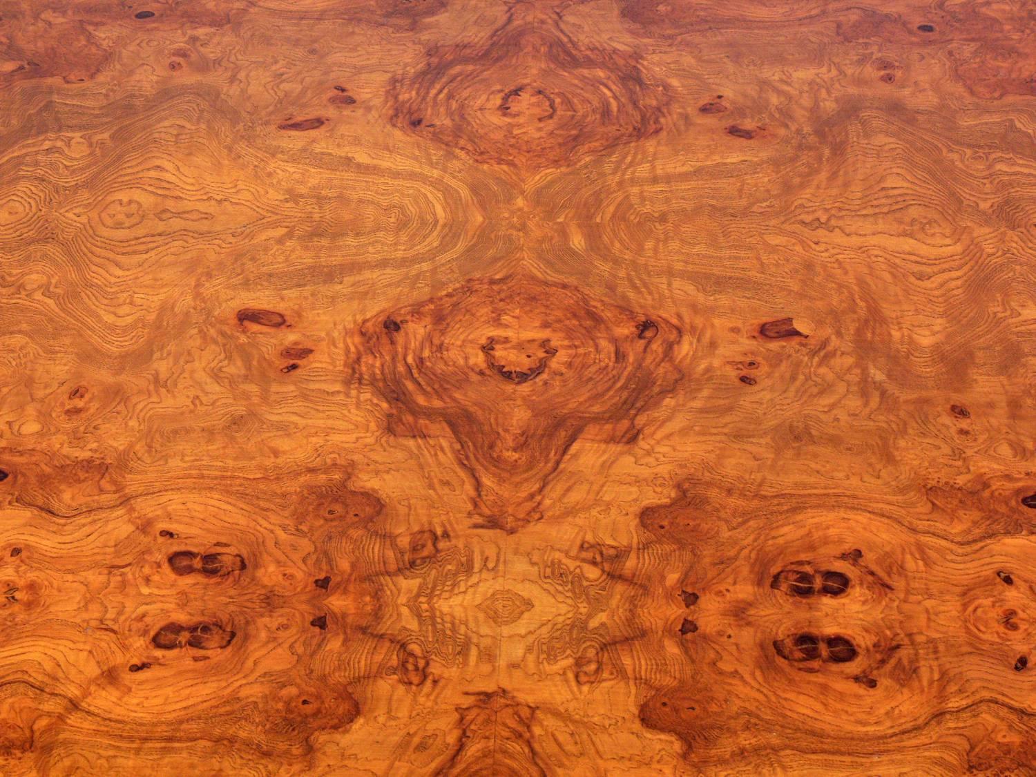 American Large-Scale Burl Wood Coffee Table