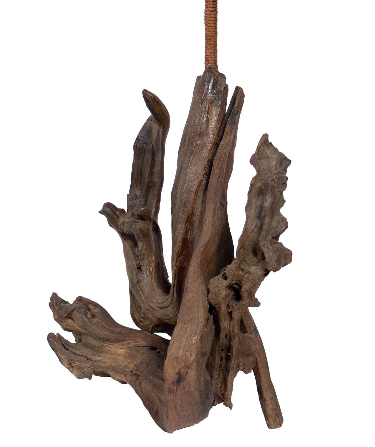 Mid-20th Century Selection of Sculptural Driftwood Lamps For Sale