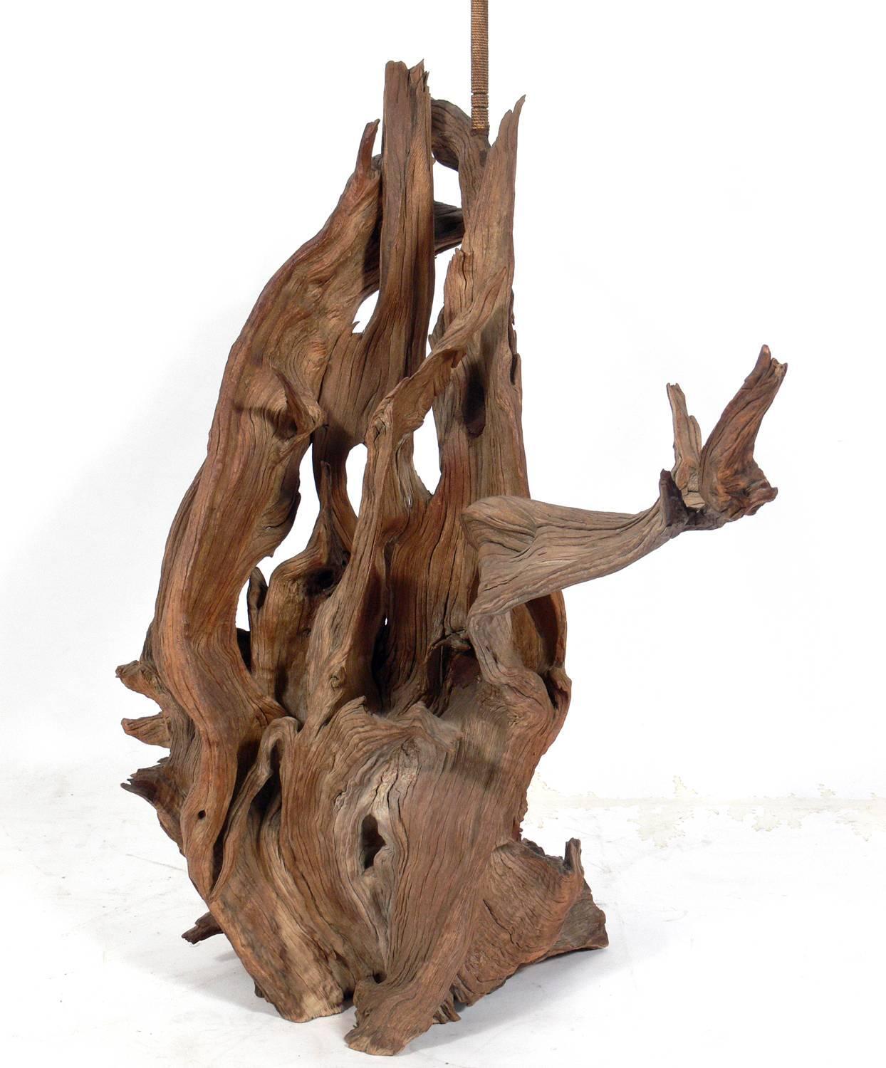 American Selection of Sculptural Driftwood Lamps For Sale