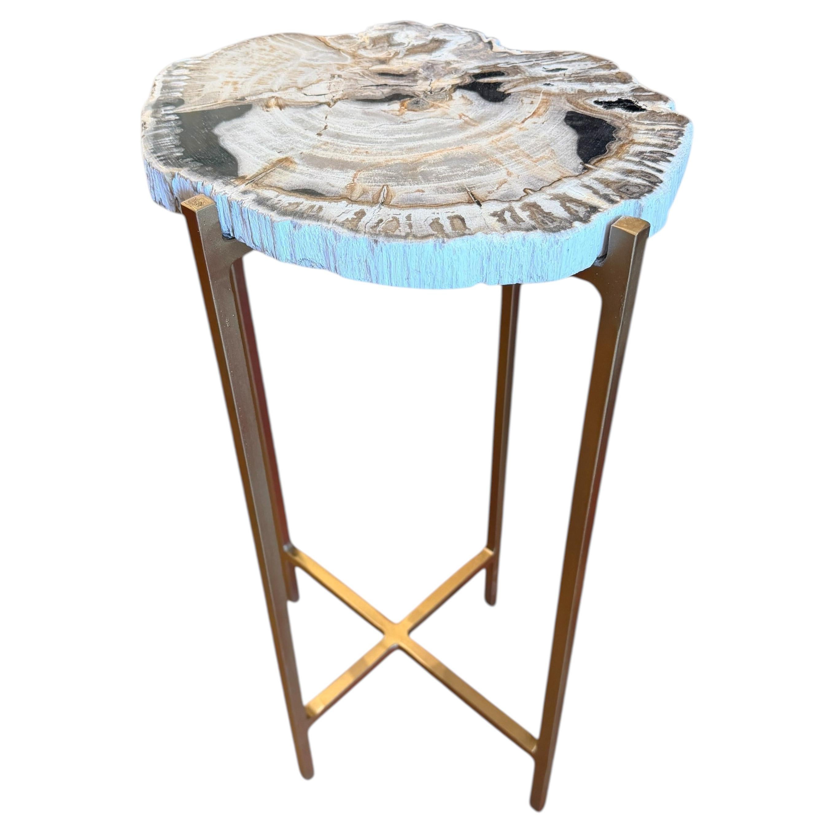 Eine äußerst seltene Platte aus versteinertem Holz, verarbeitet zu einem Tisch im Angebot