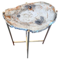 Extremely Rare Petrified Wood Slab made into a Table
