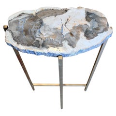 Extremely Rare Petrified Wood Slab made into a Table