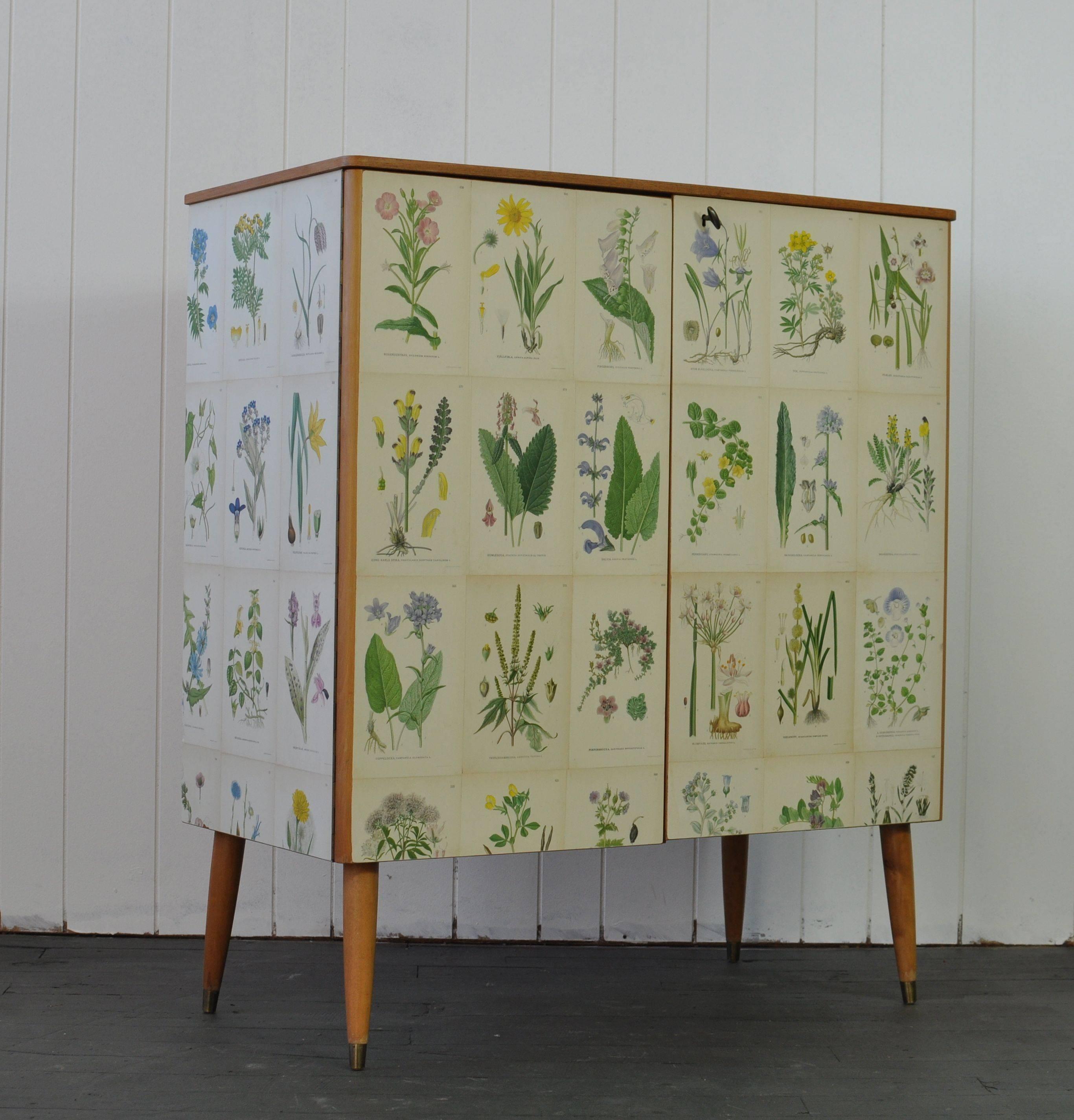 1950s Swedish cabinet papered with botanical prints by C.A.M. Lindman.