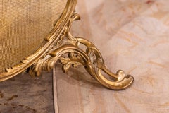 A fine 19th century French gilt bronze Louis XV fire screen