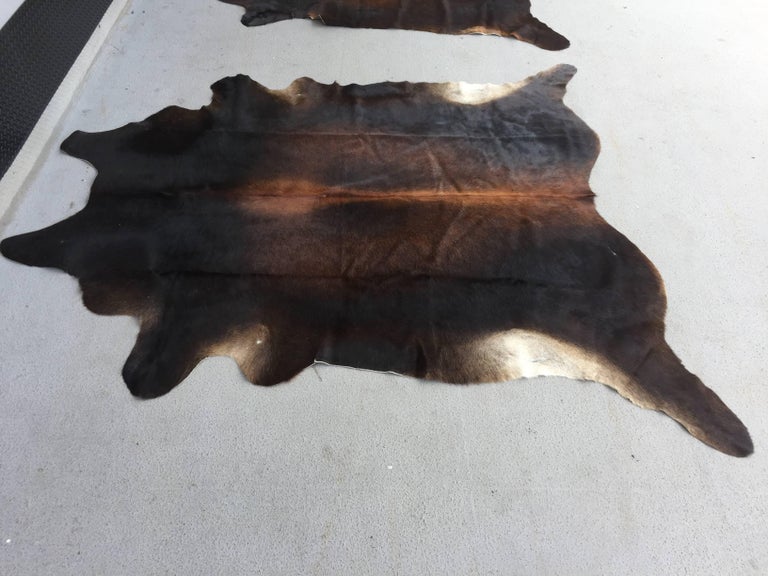 Pair of Large Cow Hides Carpets For Sale at 1stdibs