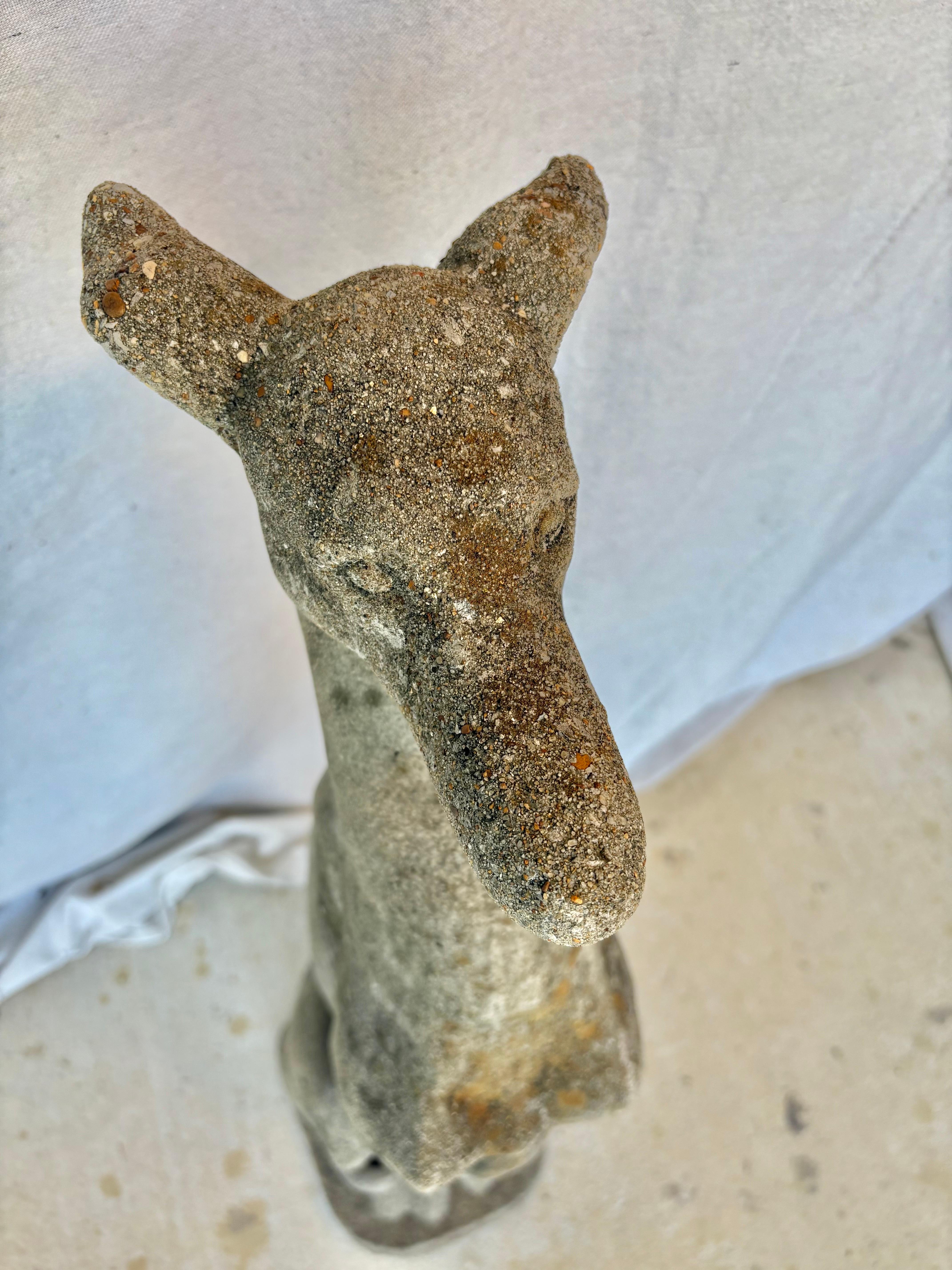 Early 20th Century French Concrete Whippet Greyhound Dog Garden Sculpture For Sale 8