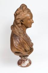 Important Terracotta Bust of Madame du Barry