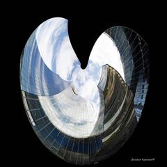 Shape Shifter Art Photography 7