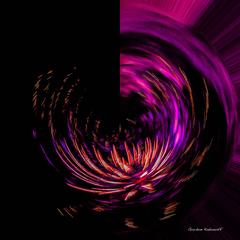 Radiant Sky Blossom Photograph 5