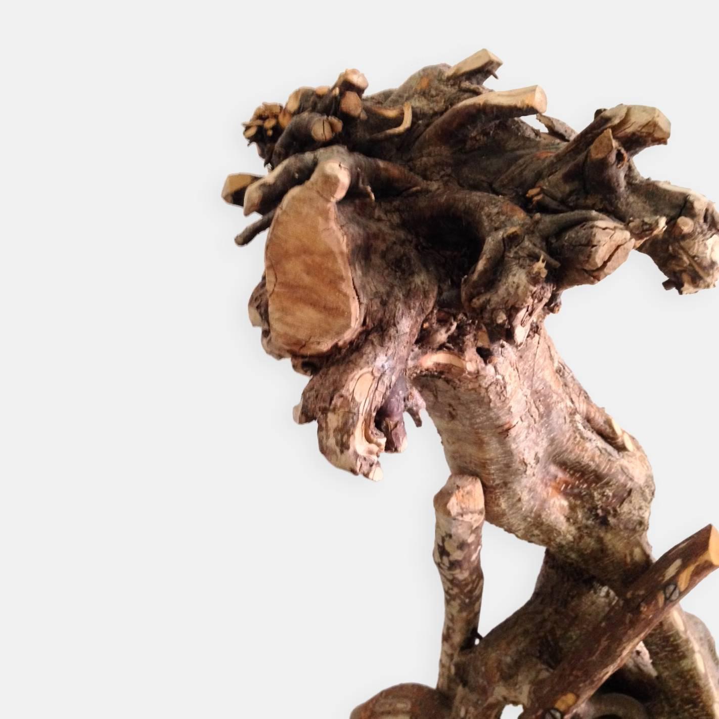 Abstrakte organische Baumwurzelholz-Skulptur „Slash“ von Plum, um 2007 (21. Jahrhundert und zeitgenössisch) im Angebot