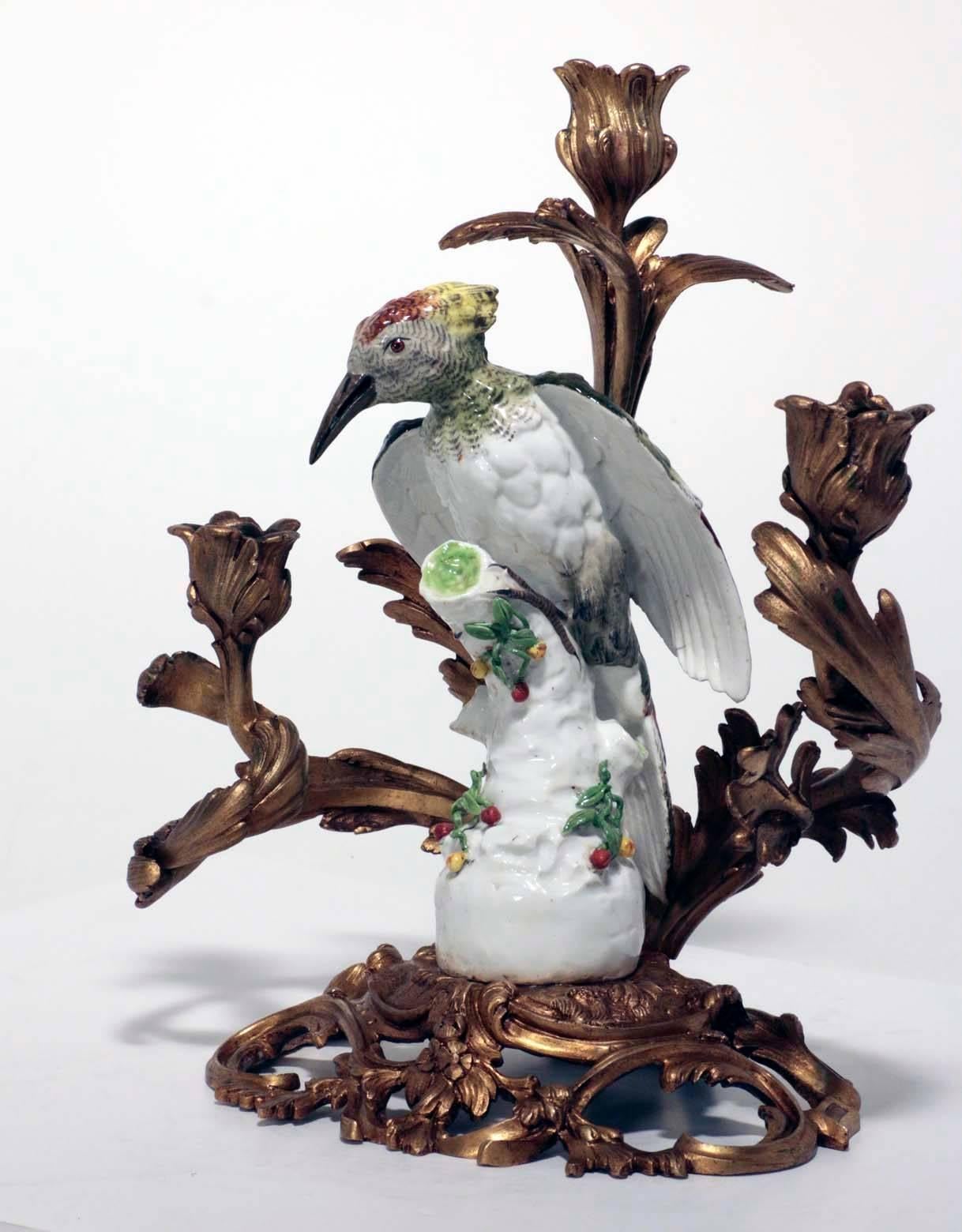 Louis XV Pair of Antique Meissen Porcelain Woodpeckers, Now Mounted as Candelabra For Sale