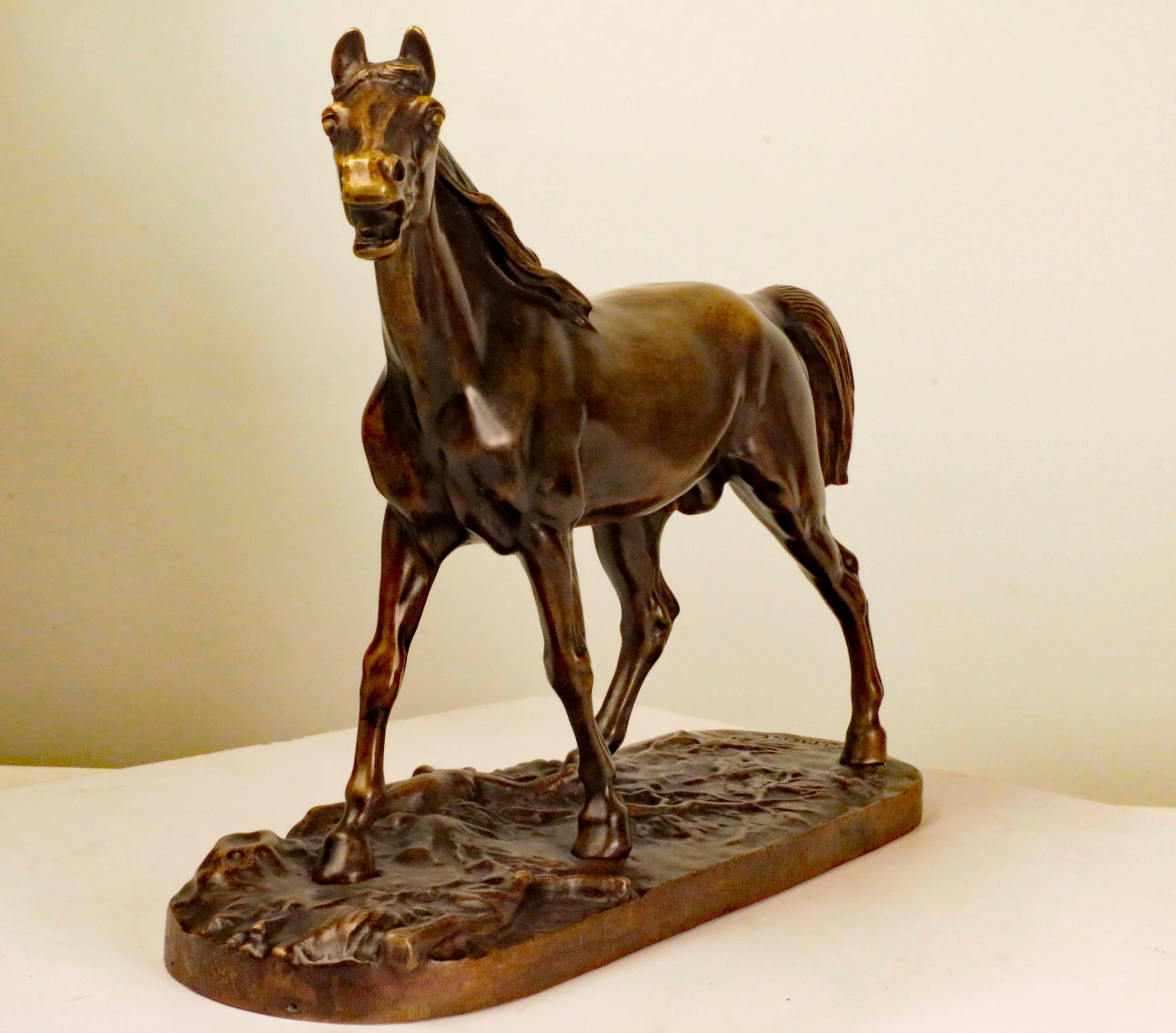 19th Century Bronze Figure of an Arab Horse Signed by Pierre Jules Mêne