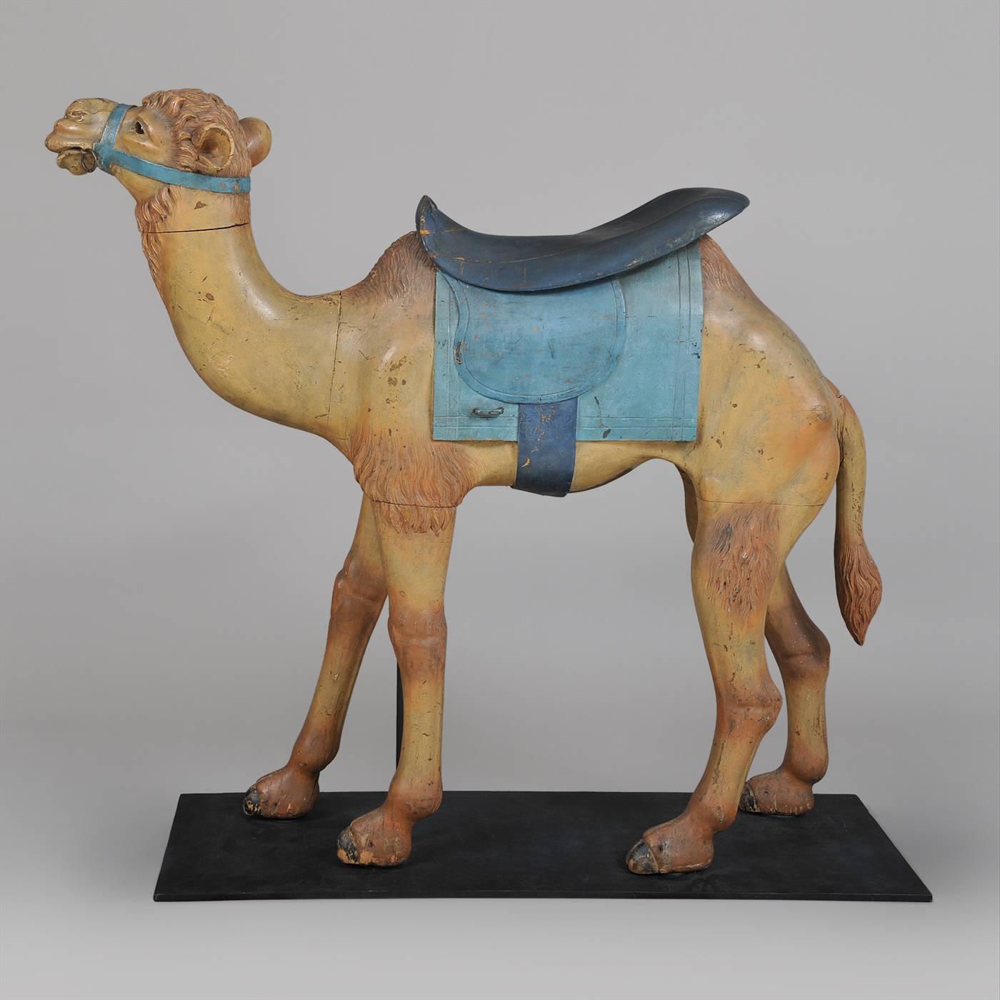 Early 19th Century Camel, Charles Looff For Sale