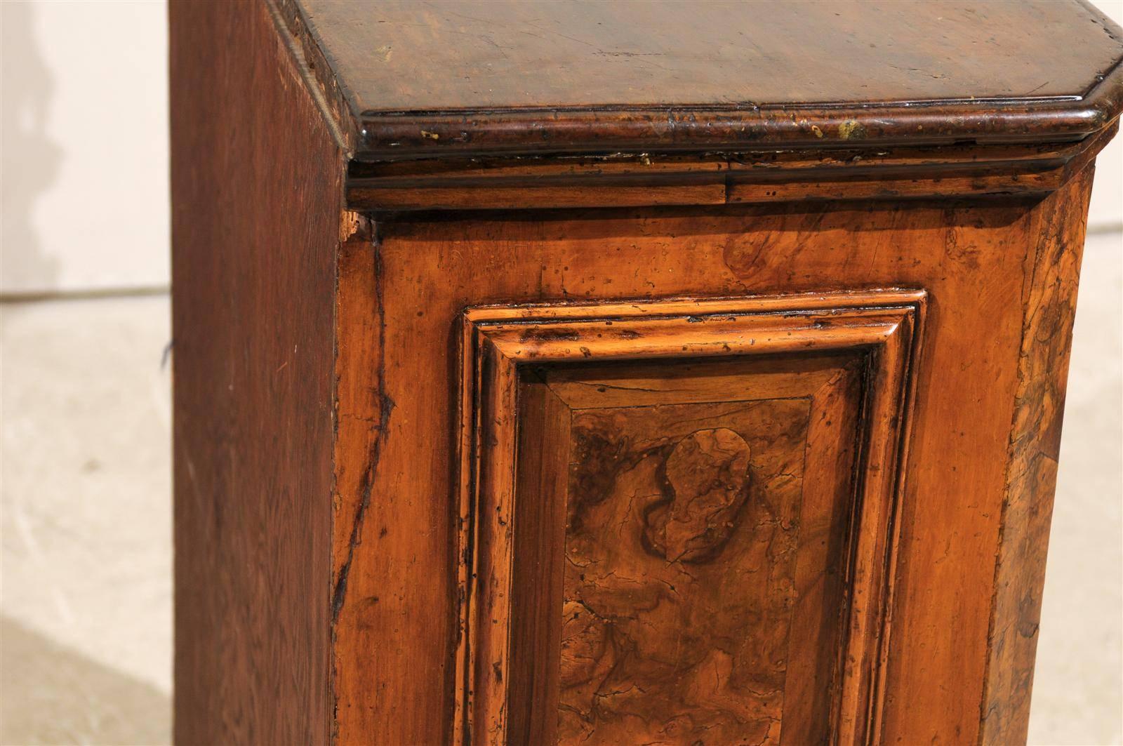 An Italian Early 19th Century Small Shelf Cabinet with Nice Wood Grain Visible 6