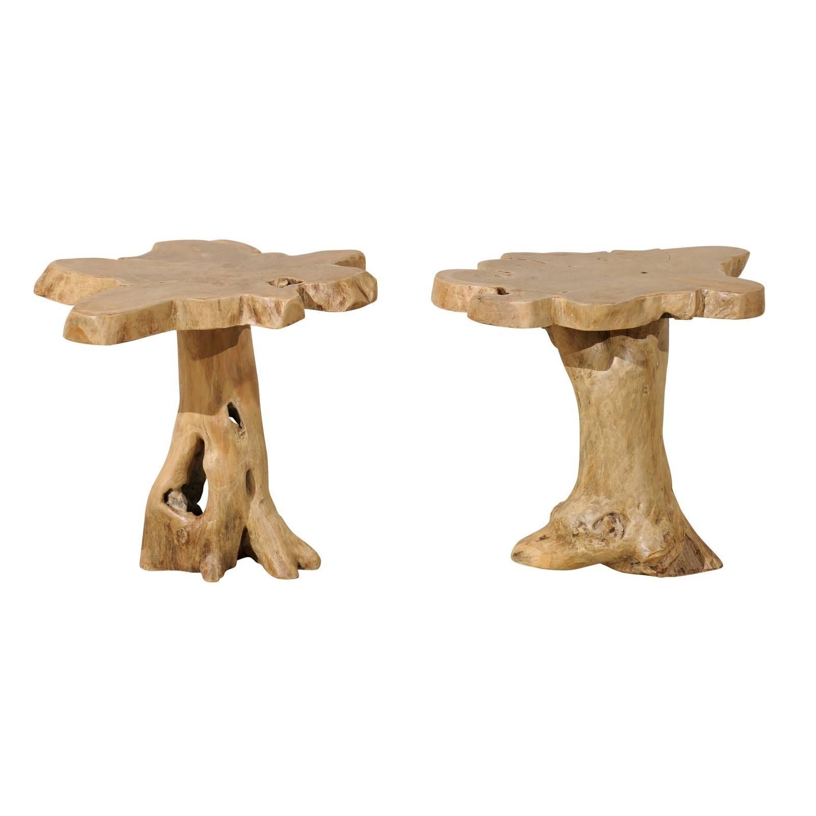 Pair of Teak Root Drink or Side Tables with Natural Finish from India, Tan Color