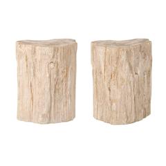 Pair of Light Cream, Grey and Beige Colored Petrified Wood Drink or Side Tables