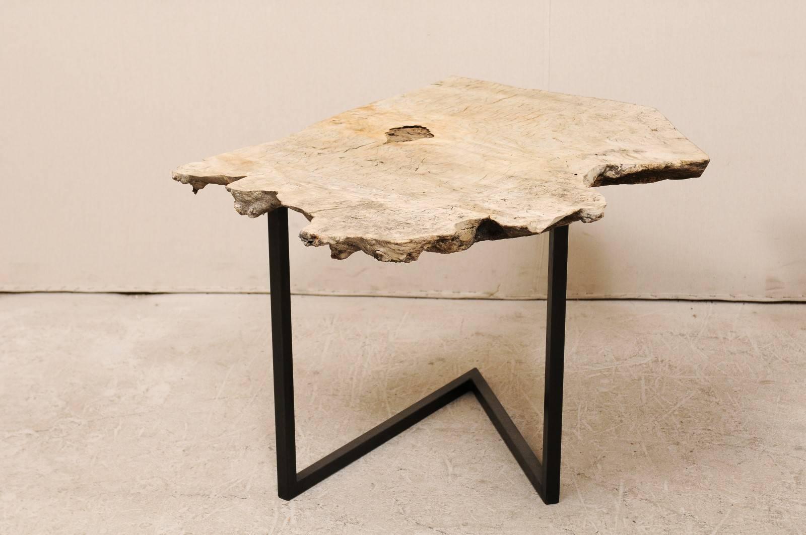 A single European contemporary style custom created burl top occasional table with iron base. This rustic yet chic side / drink table is made up from a thickly sliced old burled wood slab, which has been mounted onto a newer custom black iron base.
