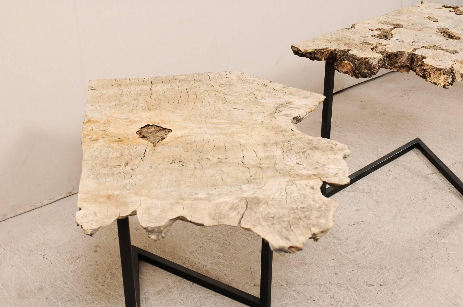 burl wood drink table