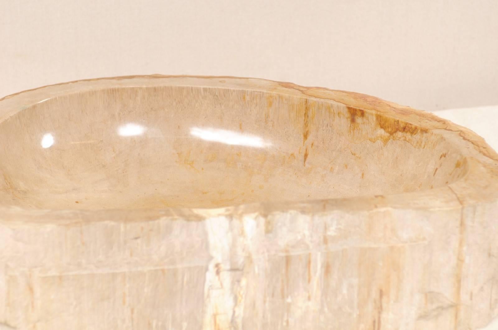 Polished Petrified Wood Sink in Cream and Beige Tones, Perfect for a Vanity 2