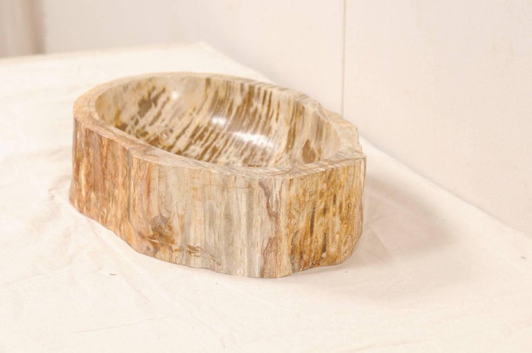 Polished Petrified Wood Sink with Warm Beige and Brown Wood Grain