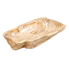 Rectangular Polished Petrified Wood Sink with Beige, Cream and Brown Wood Grain