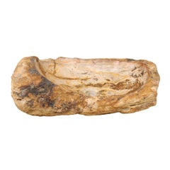 Beautifully Rustic Petrified Wood Sink in Beige, Cream and Brown for Powder Room