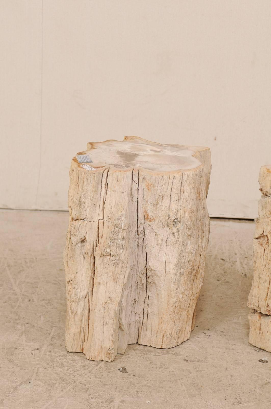 Rustic Pair of Live-Edge Petrified Wood Drink Tables With Polished Tops, Light Colored