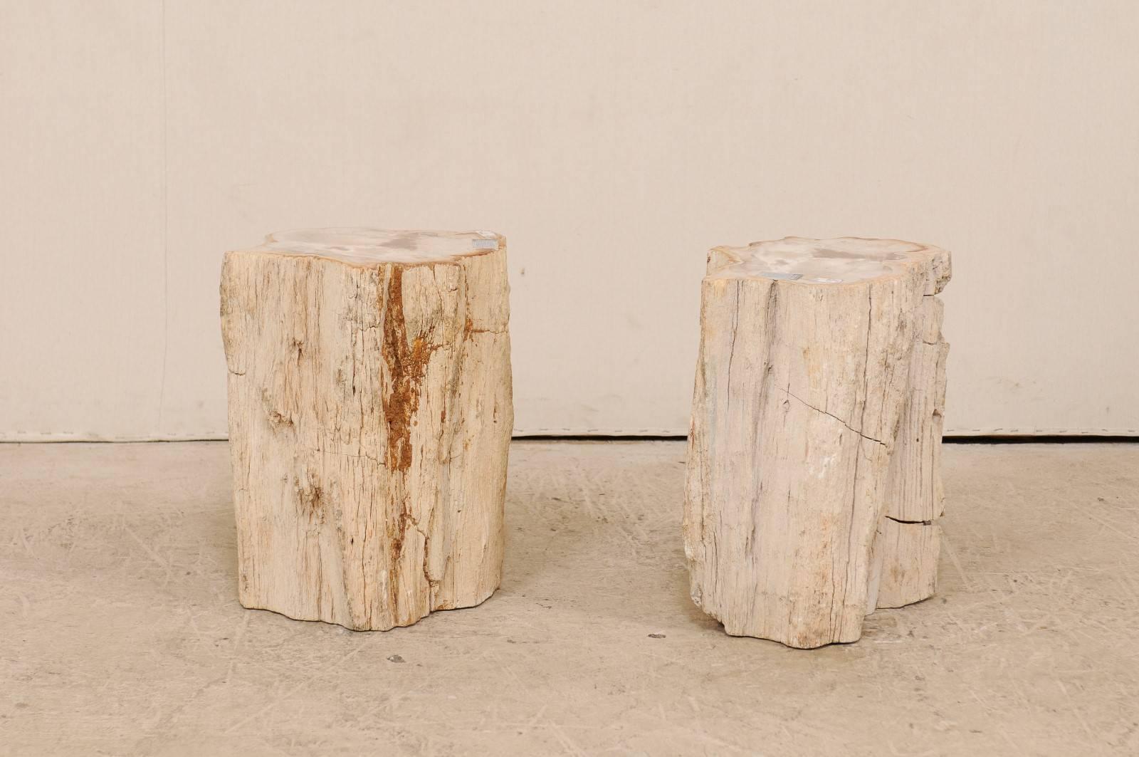 Pair of Live-Edge Petrified Wood Drink Tables With Polished Tops, Light Colored 1