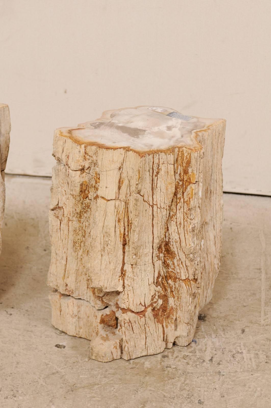 Indonesian Pair of Live-Edge Petrified Wood Drink Tables With Polished Tops, Light Colored