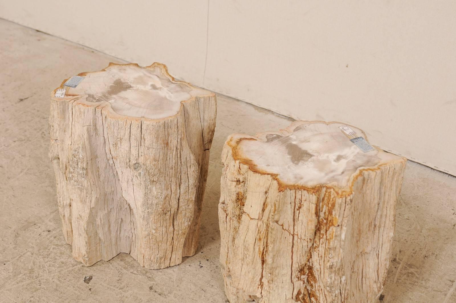 Pair of Live-Edge Petrified Wood Drink Tables With Polished Tops, Light Colored In Good Condition In Atlanta, GA