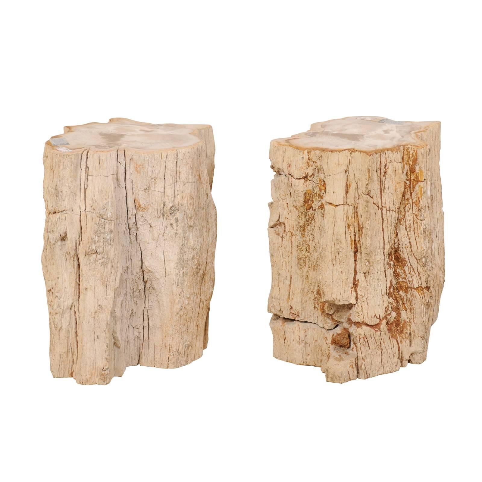 Pair of Live-Edge Petrified Wood Drink Tables With Polished Tops, Light Colored