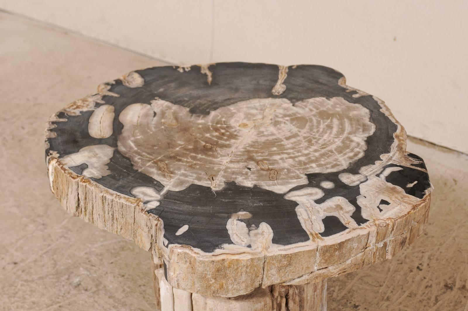 Rustic Petrified Wood Pedestal Coffee Table in Cream, Beige and Black Hues