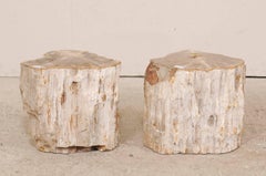 Pair of Light Toned Cream Colored Petrified Wood Side or Drink Tables