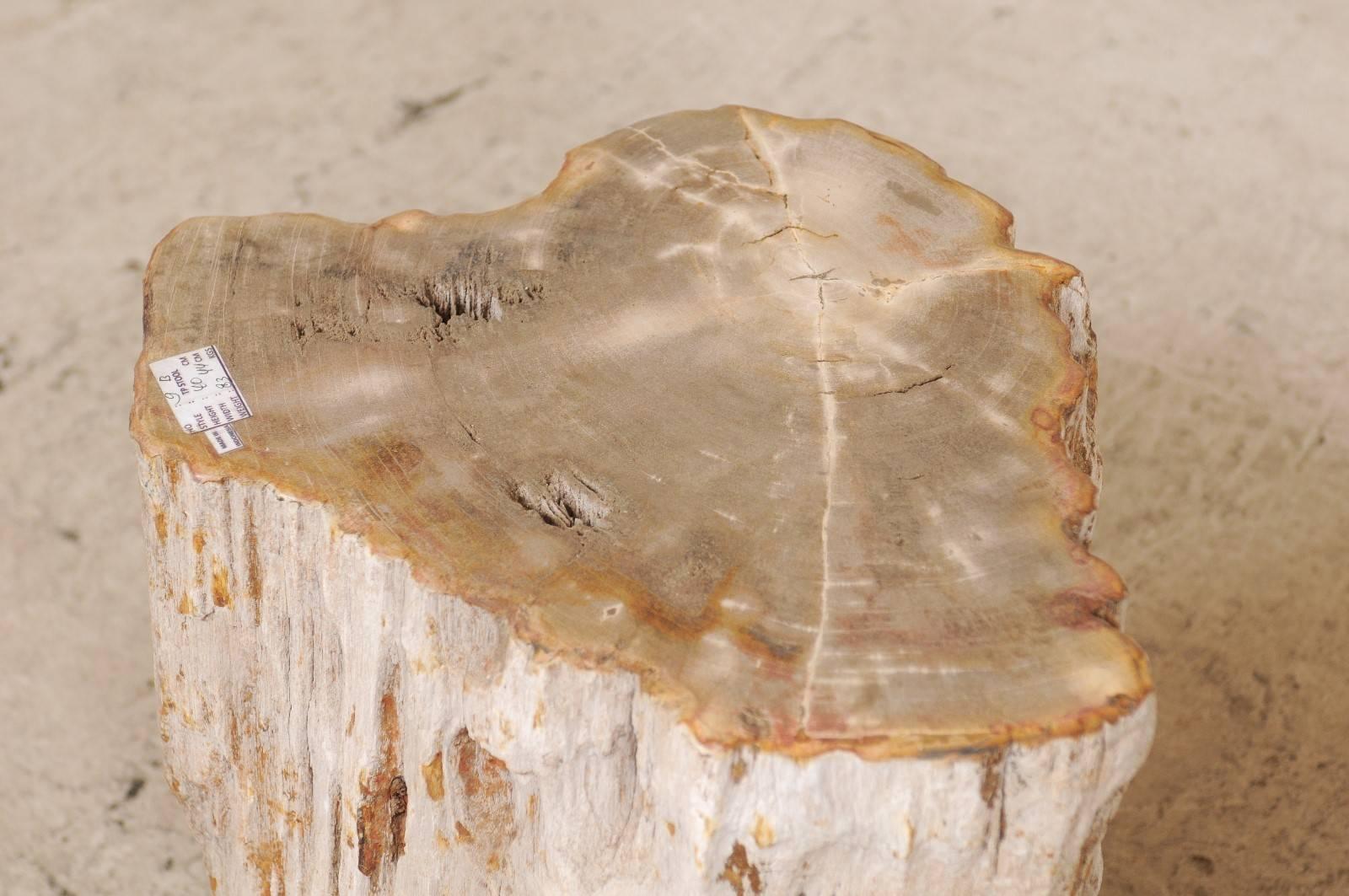 Pair of Light Toned Cream Colored Petrified Wood Side or Drink Tables 2