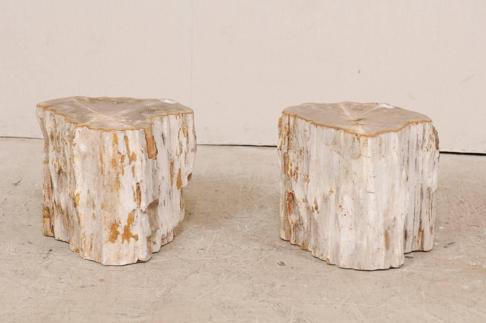 Pair of Light Toned Cream Colored Petrified Wood Side or Drink Tables 3