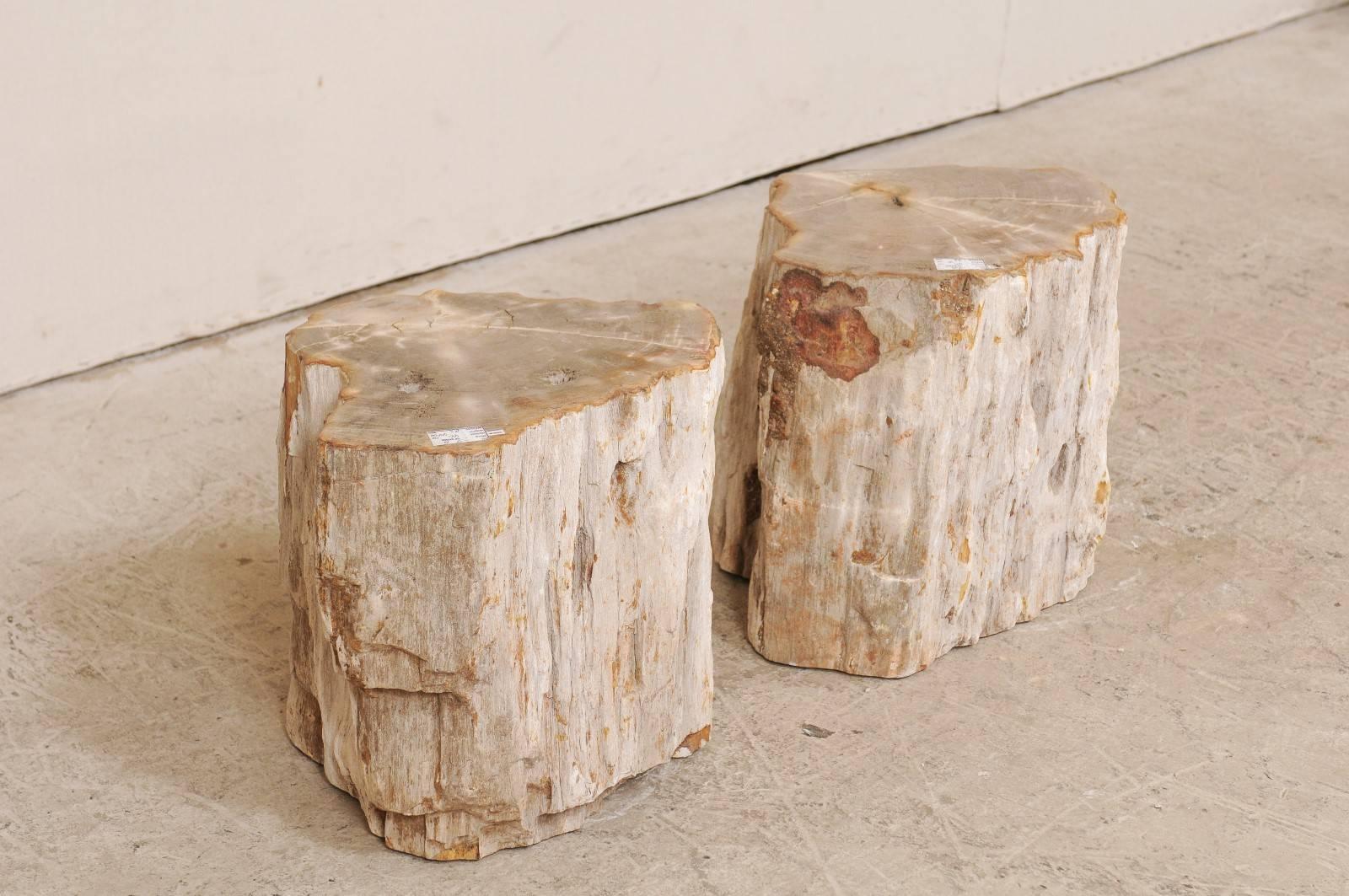 Pair of Light Toned Cream Colored Petrified Wood Side or Drink Tables In Good Condition In Atlanta, GA