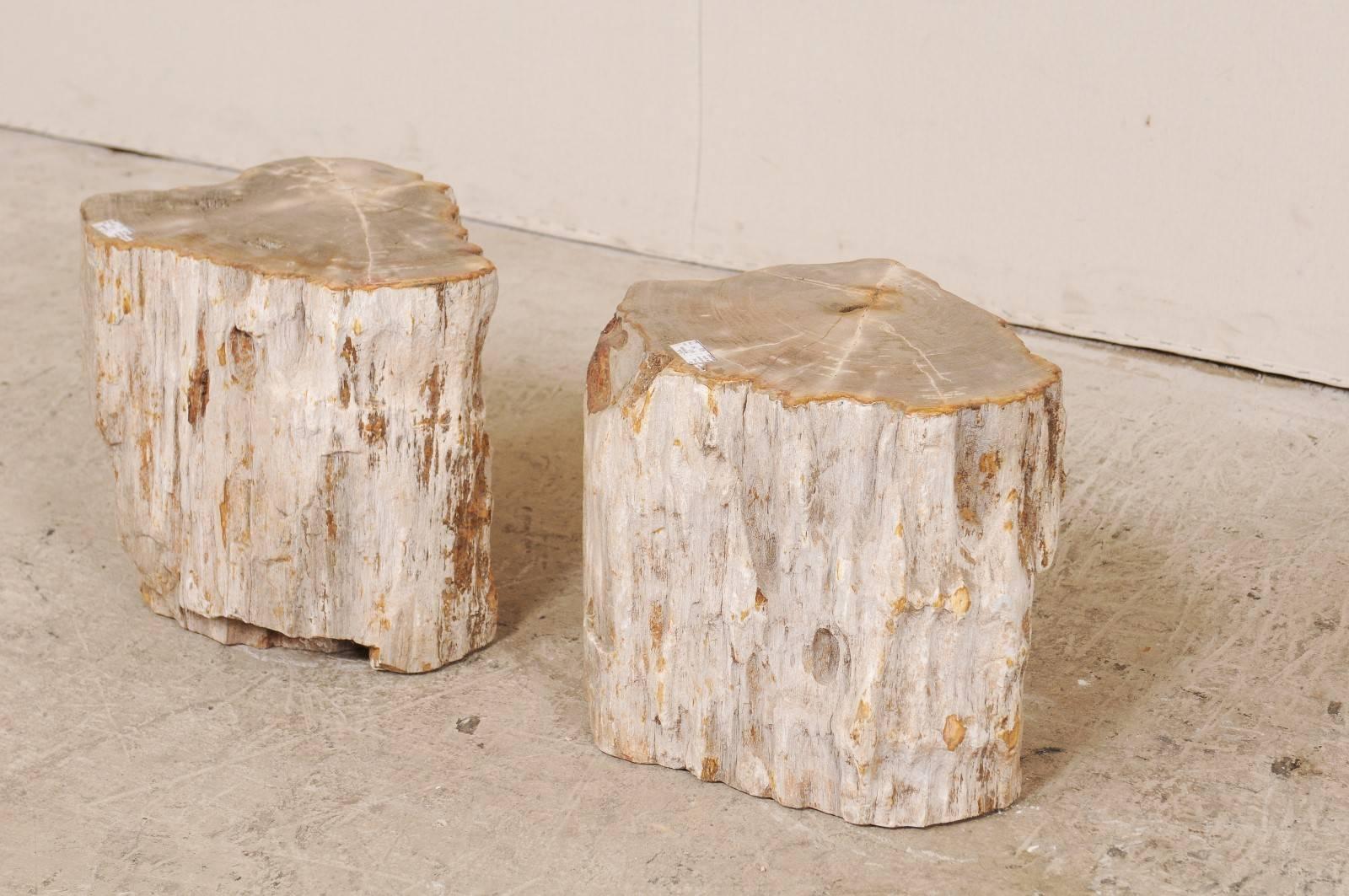 18th Century and Earlier Pair of Light Toned Cream Colored Petrified Wood Side or Drink Tables