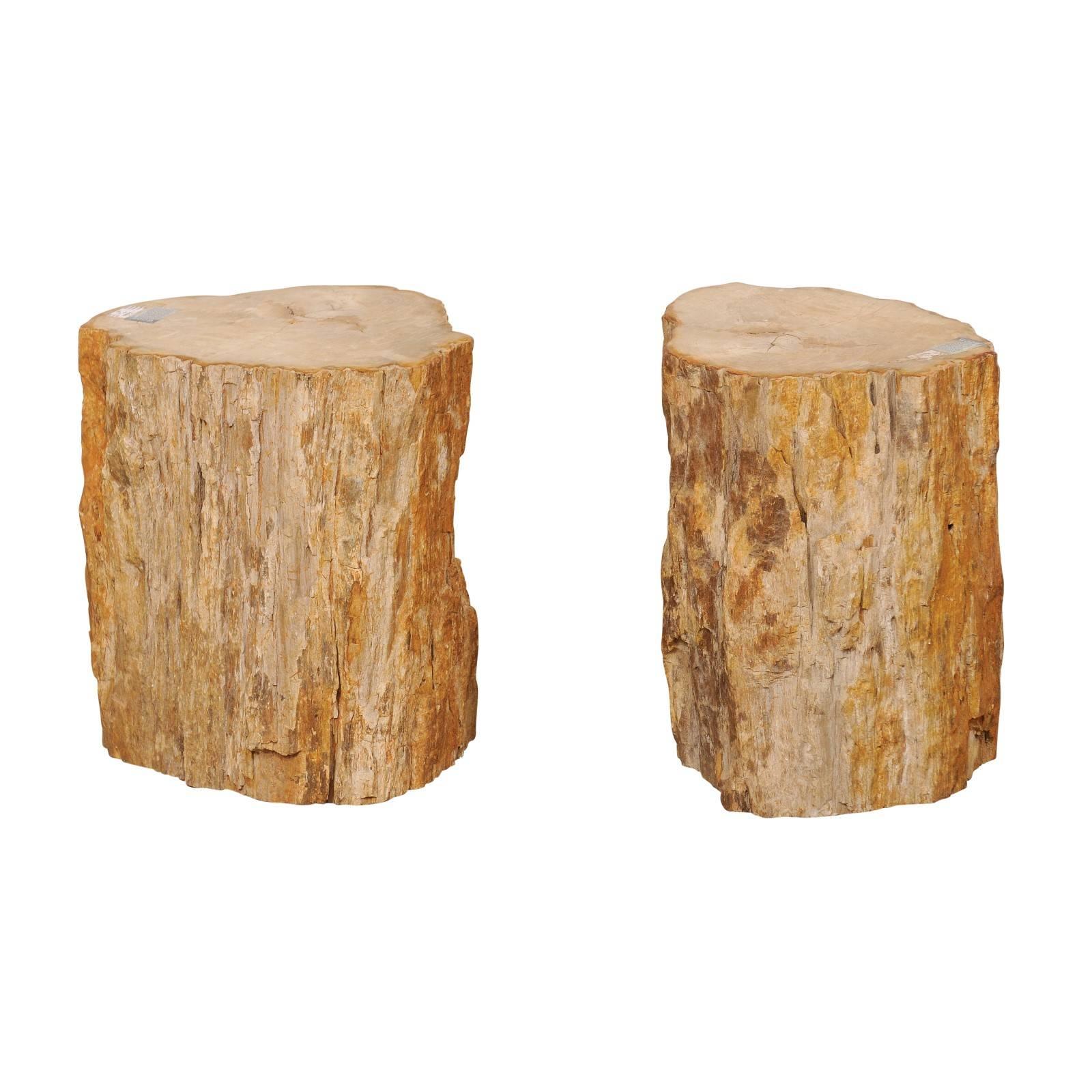 Pair of Beige, Brown and Cream Polished Petrified Wood Drinks / Side Tables