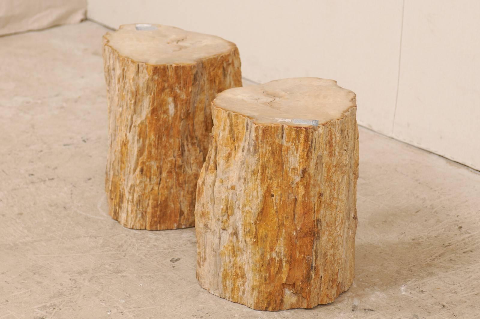 Pair of Beige, Brown and Cream Polished Petrified Wood Drinks / Side Tables 2