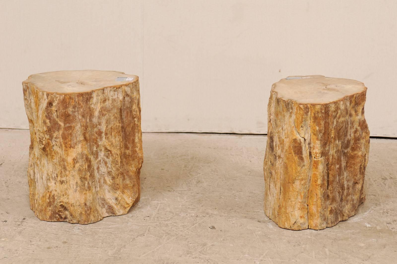 Pair of Beige, Brown and Cream Polished Petrified Wood Drinks / Side Tables 3