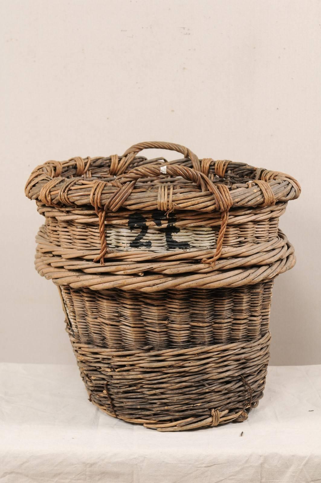 antique grape harvest basket