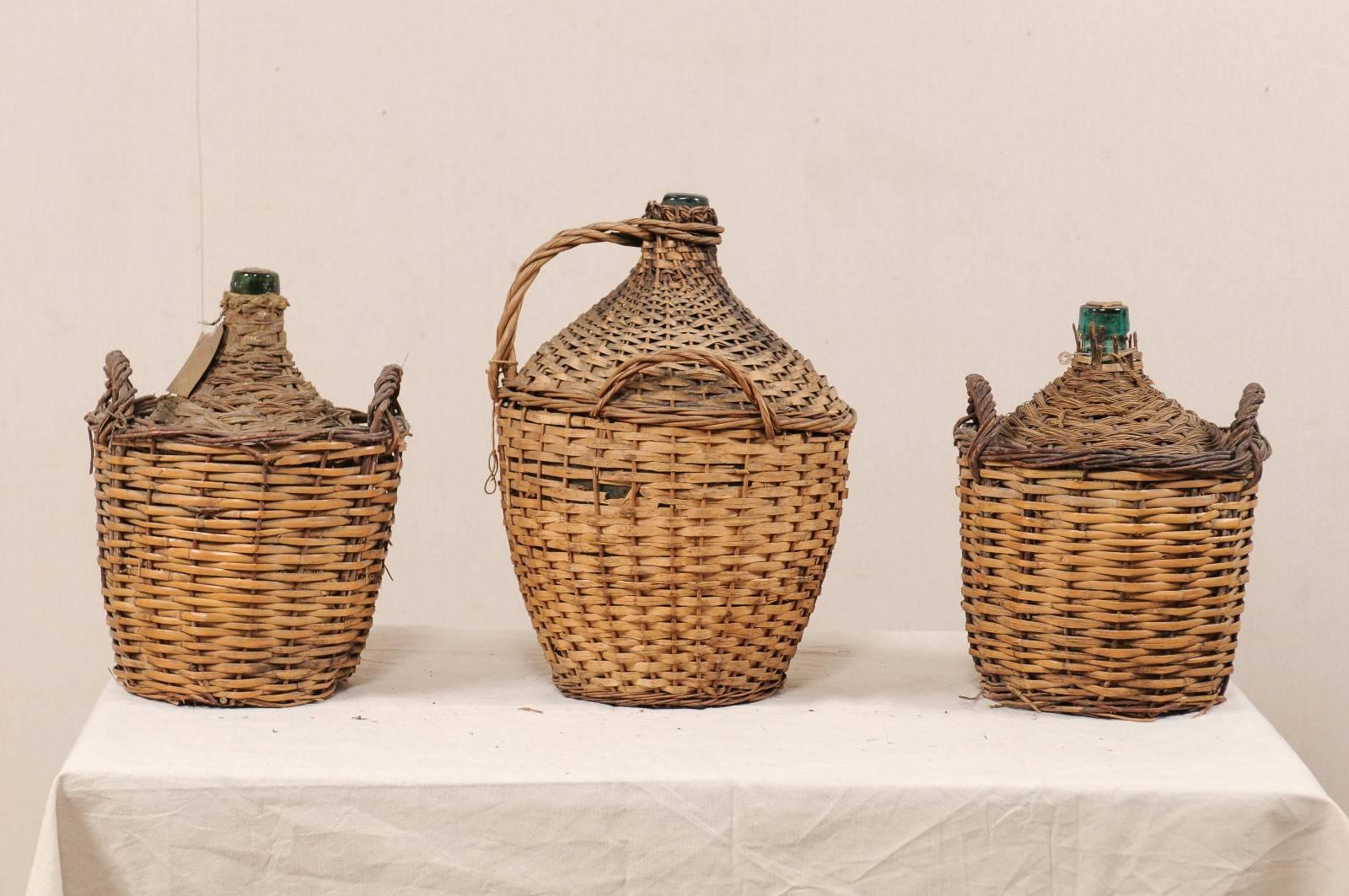 Set von drei französischen gewebten Vintner-Weinkrügen aus der Mitte des Jahrhunderts mit Demijohn-Weinflaschen (Rustikal) im Angebot